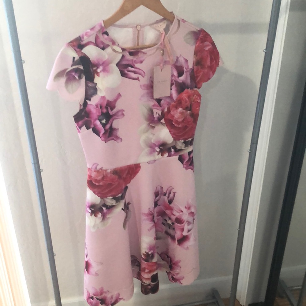 NWT Ted Baker Spring Floral Pink Dress